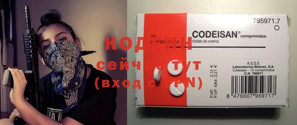 гашик Горняк