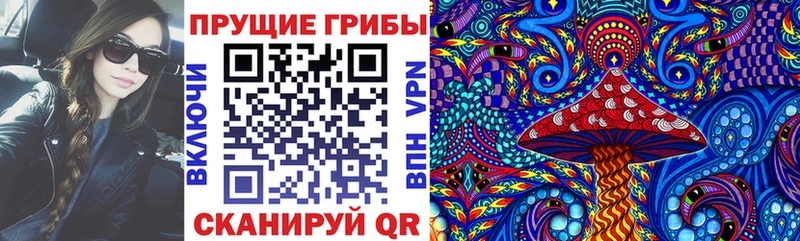 Галлюциногенные грибы Psilocybine cubensis  Енисейск 